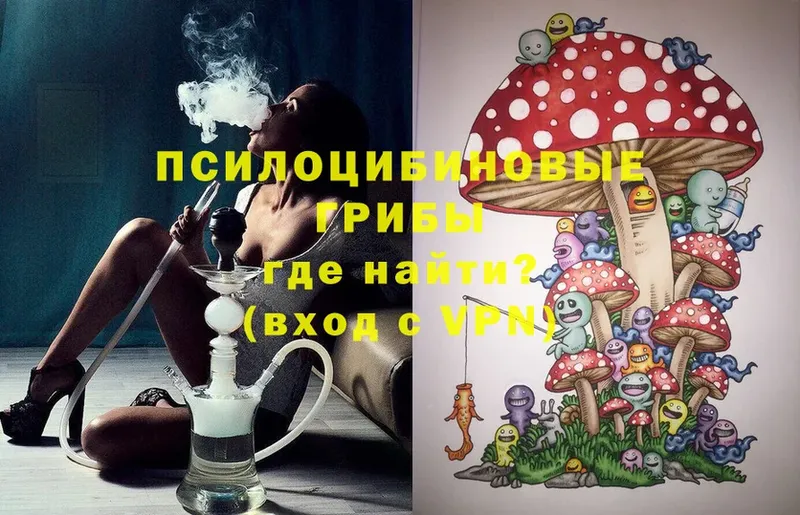 MEGA как зайти  Северодвинск  Псилоцибиновые грибы MAGIC MUSHROOMS 